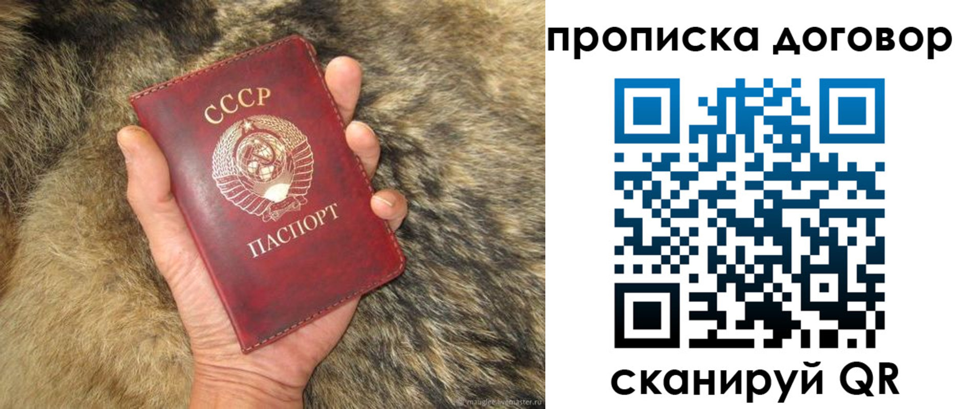 прописка регистрация в Чечне